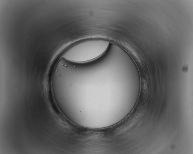 X0000103430676200809121037