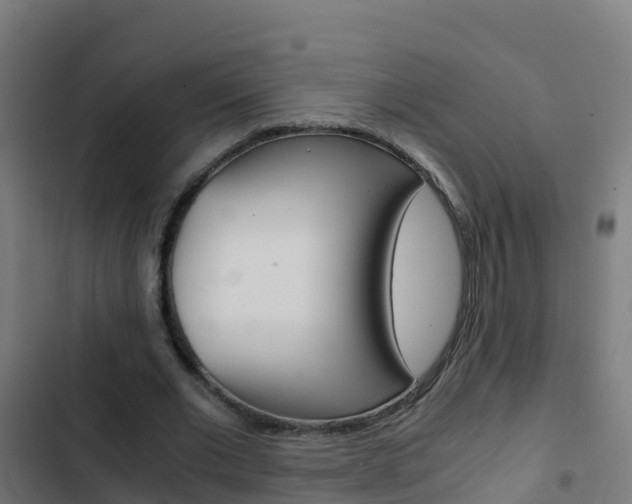 X0000103430677200809121037