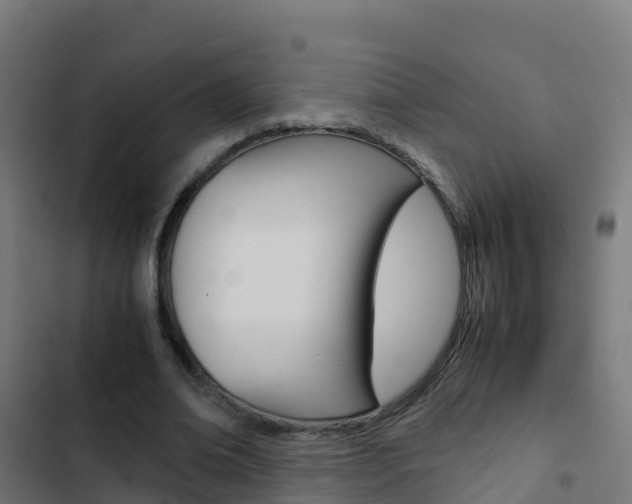 X0000103430678200809121037