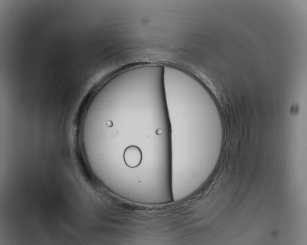X0000103430679200809121037