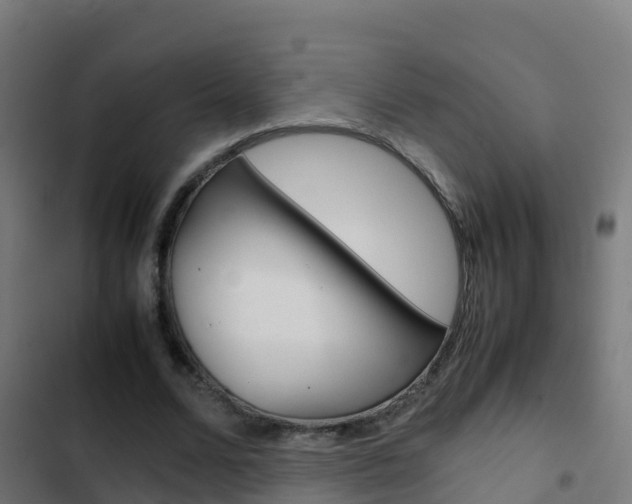 X0000103430680200809121037