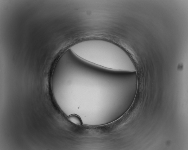 X0000103430681200809121037