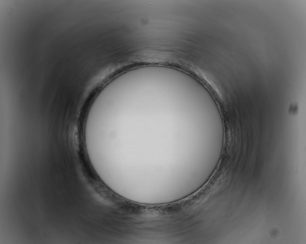 X0000103430682200809121037