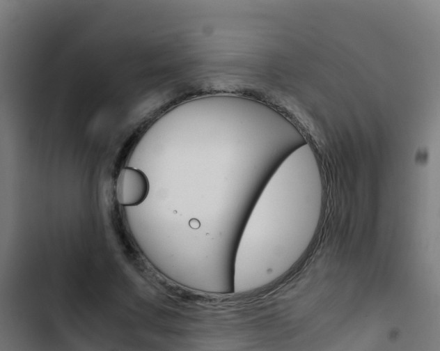 X0000103430683200809121037