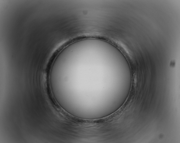 X0000103430684200809121037