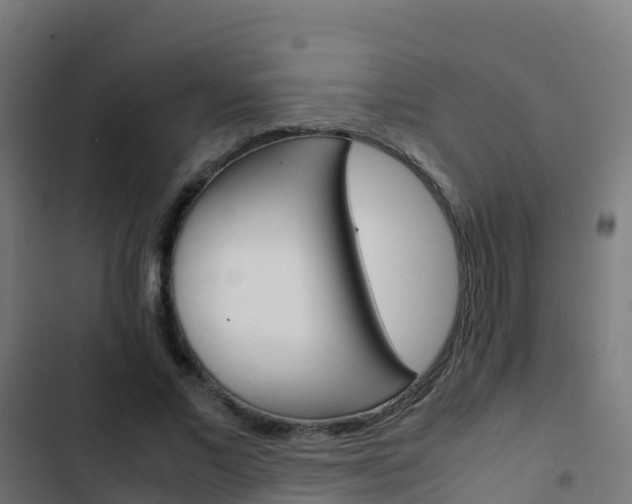 X0000103430685200809121037