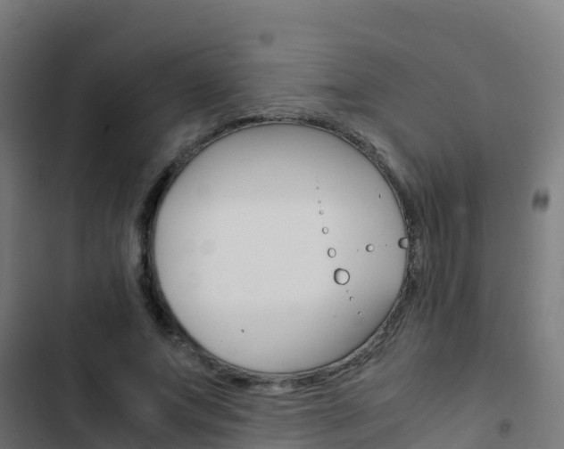 X0000103430687200809121037