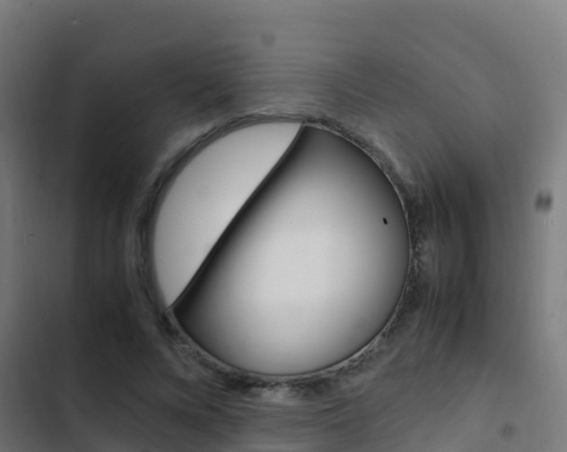 X0000103430688200809121037