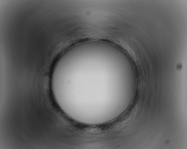 X0000103430689200809121037