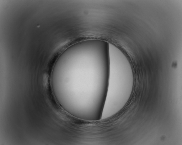 X0000103430692200809121037