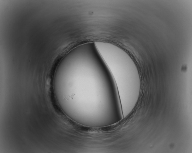X0000103430693200809121037