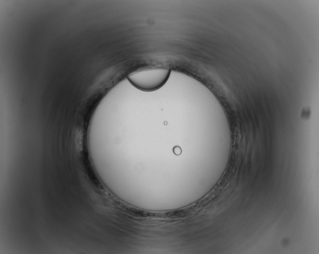 X0000103430694200809121037