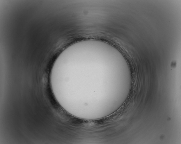 X0000103430695200809121037