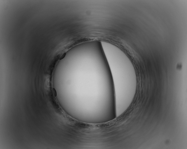 X0000103430696200809121037