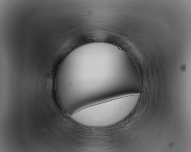 X0000103430697200809121037
