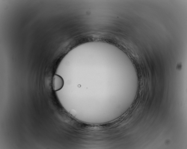 X0000103430698200809121037