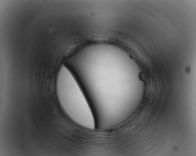 X0000103430700200809121037