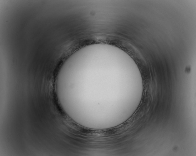 X0000103430702200809121037