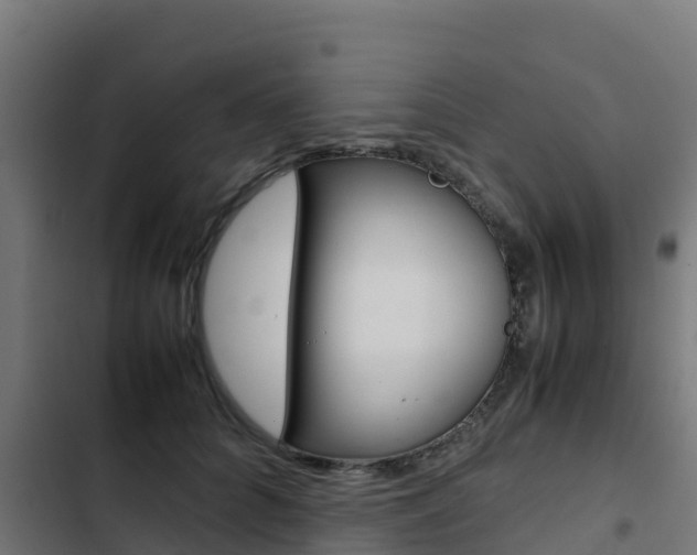 X0000103430704200809121037