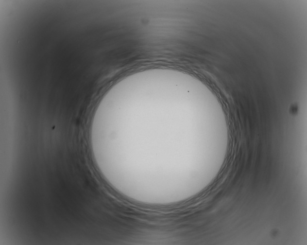 X0000103430705200809121037