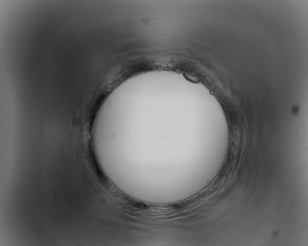 X0000103430707200809121037