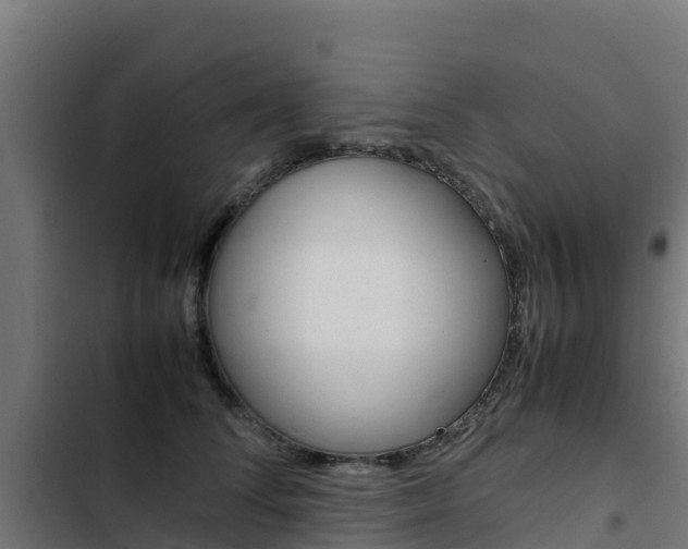 X0000103430708200809121037