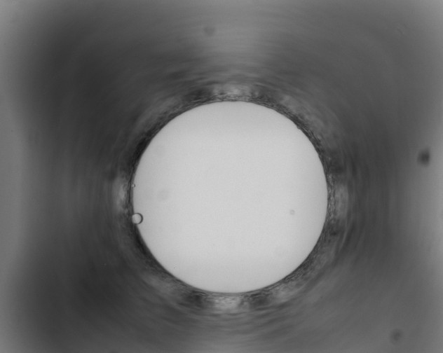 X0000103430709200809121037