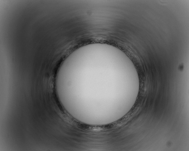 X0000103430710200809121037