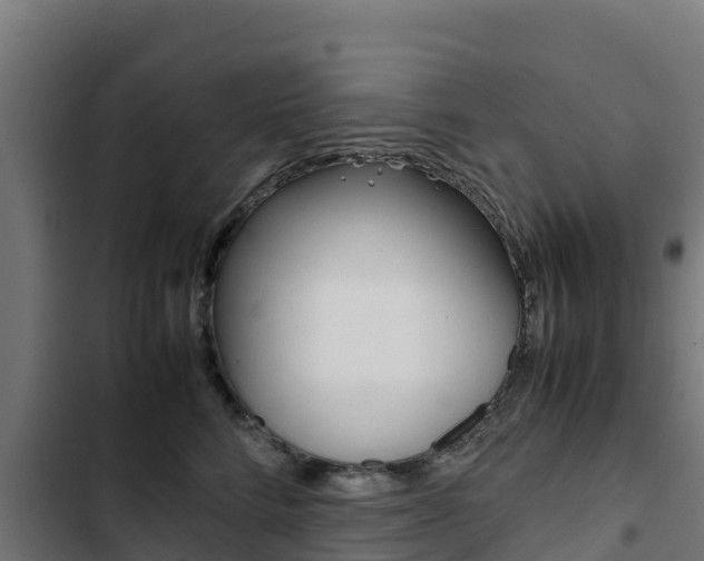 X0000103430712200809121037