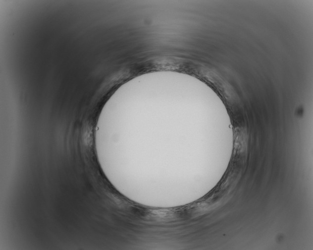 X0000103430713200809121037