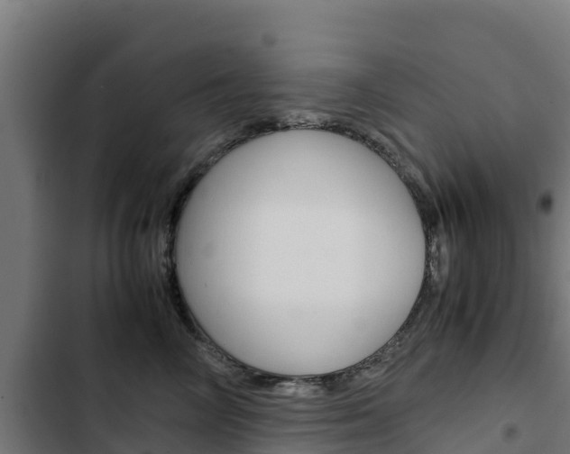 X0000103430714200809121037