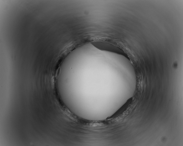 X0000103430716200809121037