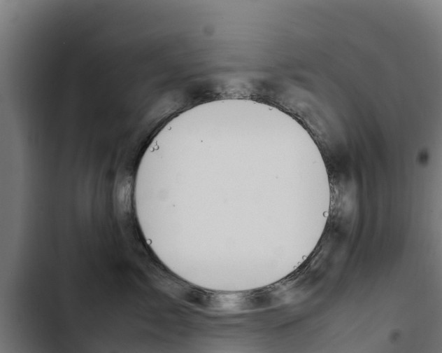 X0000103430717200809121037