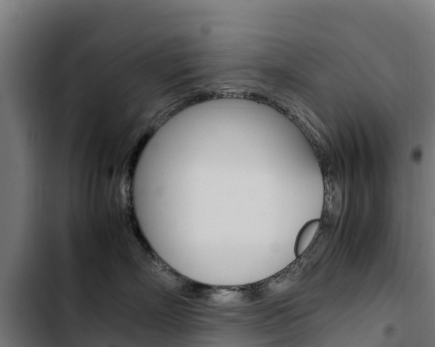X0000103430718200809121037