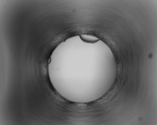 X0000103430719200809121037