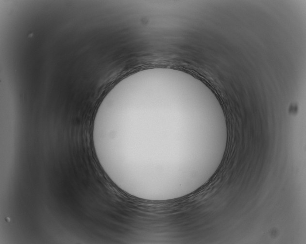 X0000103430720200809121037