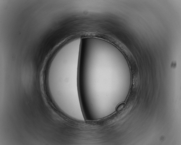 X0000103430722200809121036