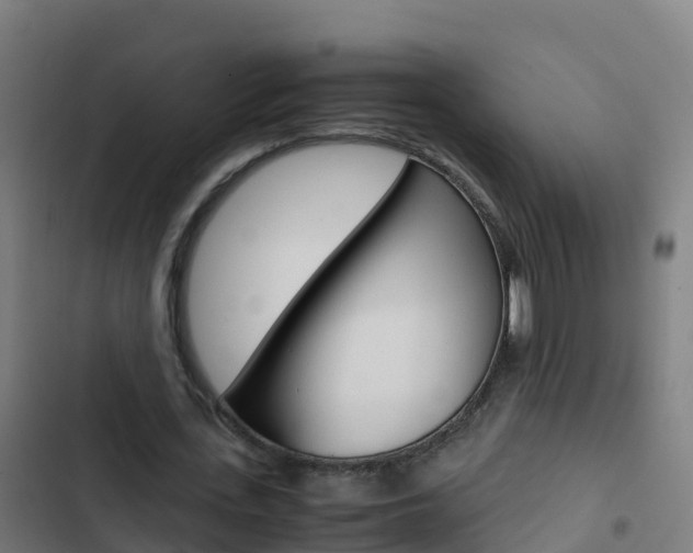 X0000103430723200809121036