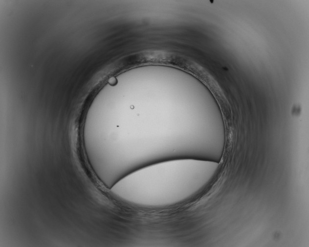 X0000103430725200809121036