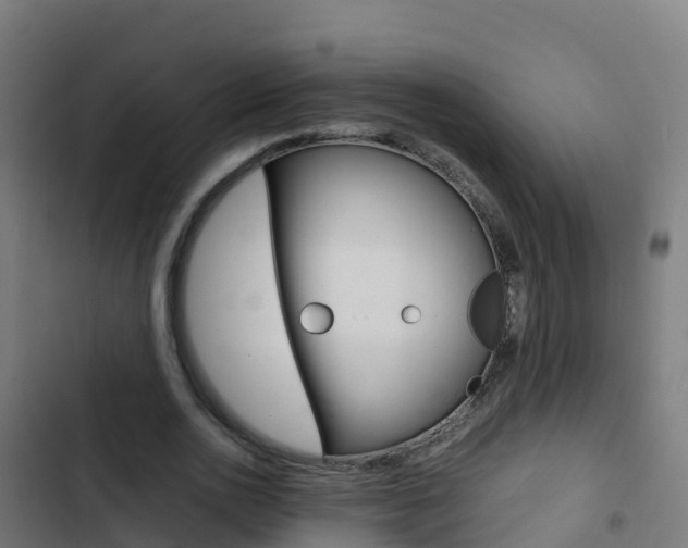 X0000103430726200809121036