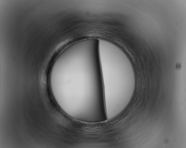 X0000103430727200809121036