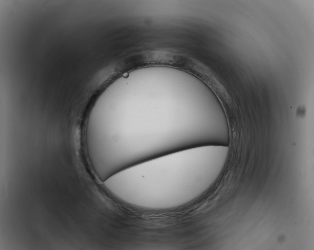 X0000103430729200809121036