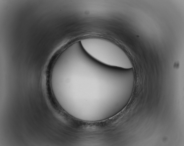 X0000103430730200809121036