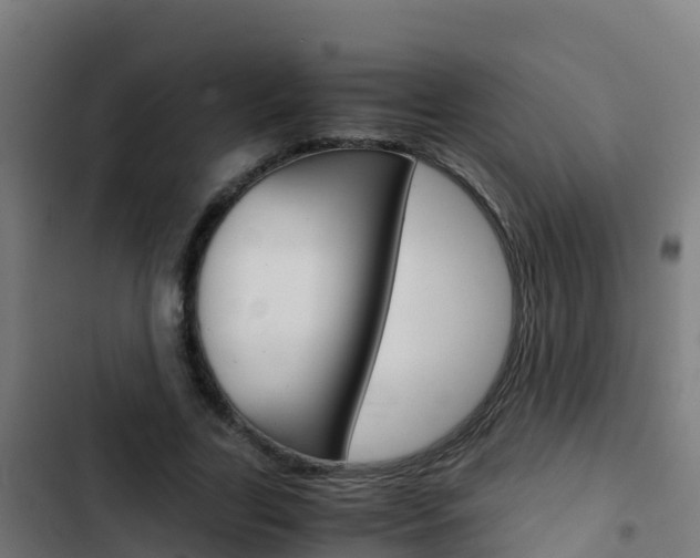 X0000103430731200809121036