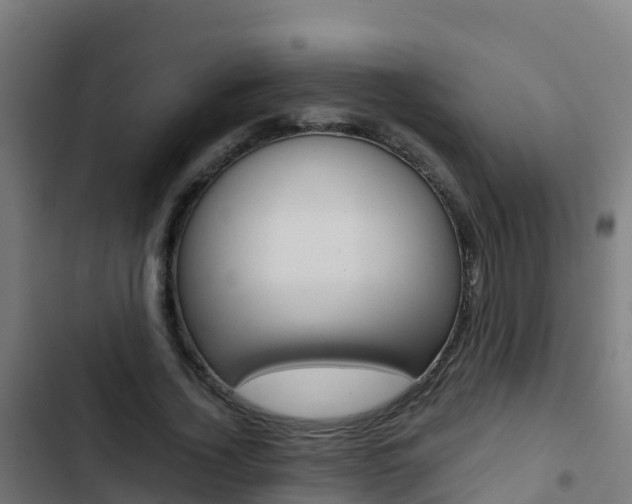 X0000103430732200809121036