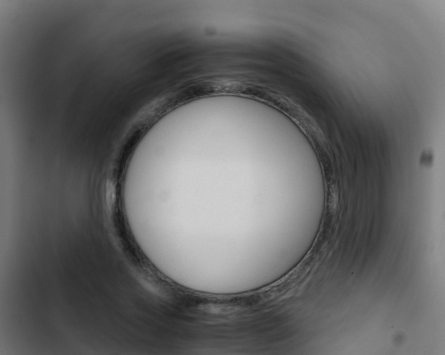 X0000103430733200809121036