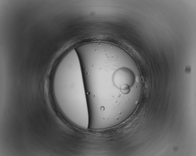 X0000103430734200809121036