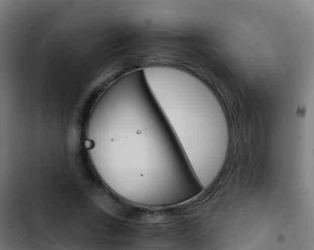 X0000103430735200809121036