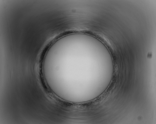 X0000103430736200809121036