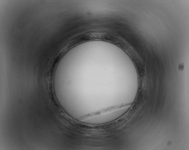 X0000103430737200809121036